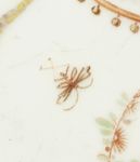 vergrößerte Ansicht des Objekts