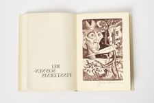 vergrößerte Ansicht des Objekts