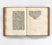 vergrößerte Ansicht des Objekts