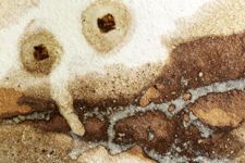 vergrößerte Ansicht des Objekts