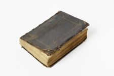 vergrößerte Ansicht des Objekts