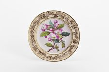 vergrößerte Ansicht des Objekts