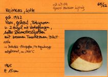 vergrößerte Ansicht des Objekts