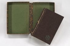 vergrößerte Ansicht des Objekts