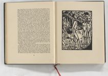 vergrößerte Ansicht des Objekts