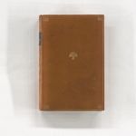 vergrößerte Ansicht des Objekts