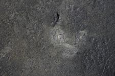 vergrößerte Ansicht des Objekts