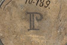 vergrößerte Ansicht des Objekts