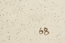 vergrößerte Ansicht des Objekts