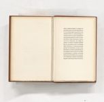 vergrößerte Ansicht des Objekts