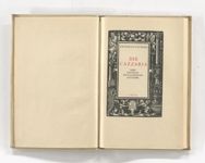 vergrößerte Ansicht des Objekts