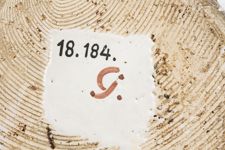 vergrößerte Ansicht des Objekts