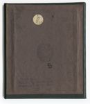 vergrößerte Ansicht des Objekts