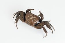 vergrößerte Ansicht des Objekts