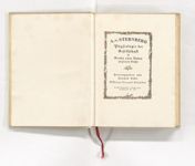 vergrößerte Ansicht des Objekts