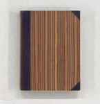 vergrößerte Ansicht des Objekts