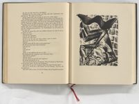 vergrößerte Ansicht des Objekts