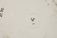 vergrößerte Ansicht des Objekts