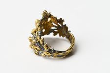 vergrößerte Ansicht des Objekts