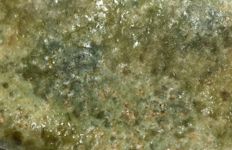 vergrößerte Ansicht des Objekts