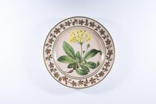 vergrößerte Ansicht des Objekts