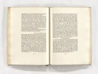 vergrößerte Ansicht des Objekts