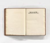 vergrößerte Ansicht des Objekts