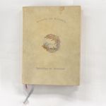 vergrößerte Ansicht des Objekts