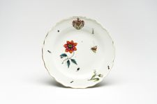 vergrößerte Ansicht des Objekts