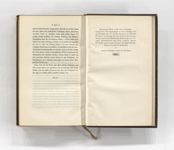 vergrößerte Ansicht des Objekts