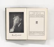 vergrößerte Ansicht des Objekts