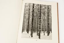 vergrößerte Ansicht des Objekts