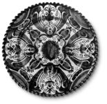 vergrößerte Ansicht des Objekts