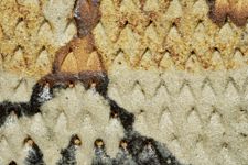 vergrößerte Ansicht des Objekts