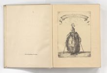 vergrößerte Ansicht des Objekts