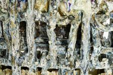 vergrößerte Ansicht des Objekts