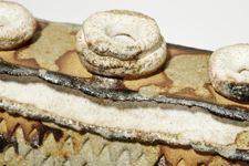 vergrößerte Ansicht des Objekts