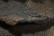 vergrößerte Ansicht des Objekts