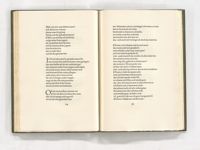 vergrößerte Ansicht des Objekts