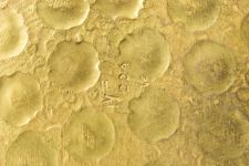 vergrößerte Ansicht des Objekts