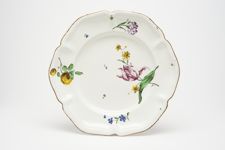 vergrößerte Ansicht des Objekts