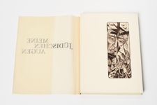 vergrößerte Ansicht des Objekts