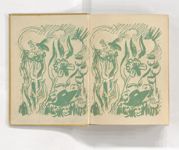 vergrößerte Ansicht des Objekts